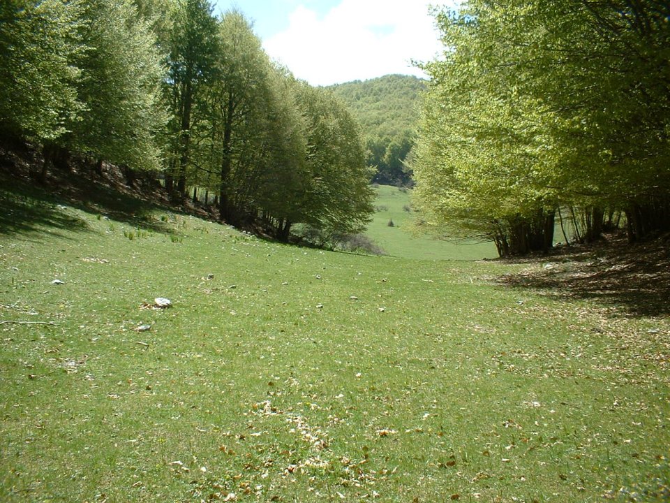 parco dei monti simbruini